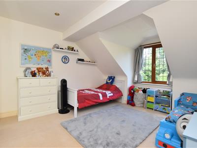 Picture 21